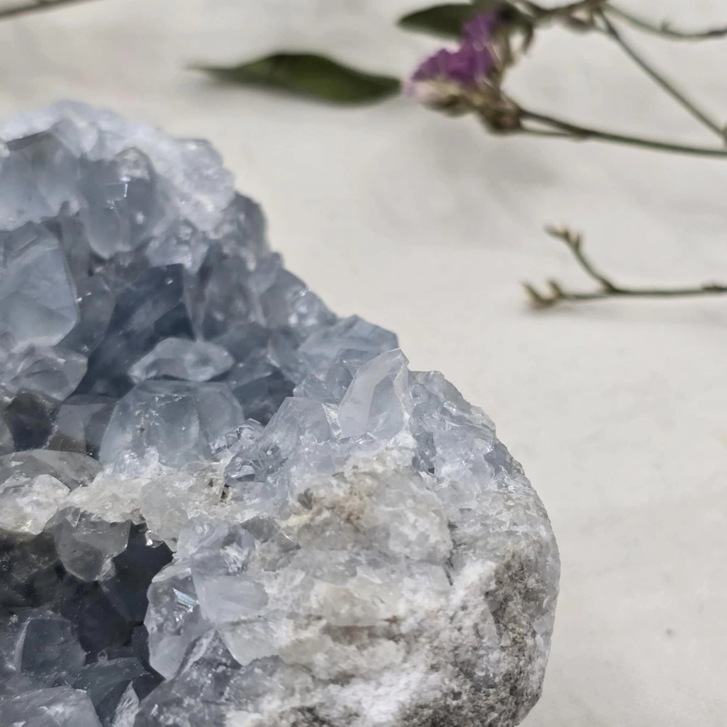 Celestin Mineral Trgovina S Kristali Adorable Stones