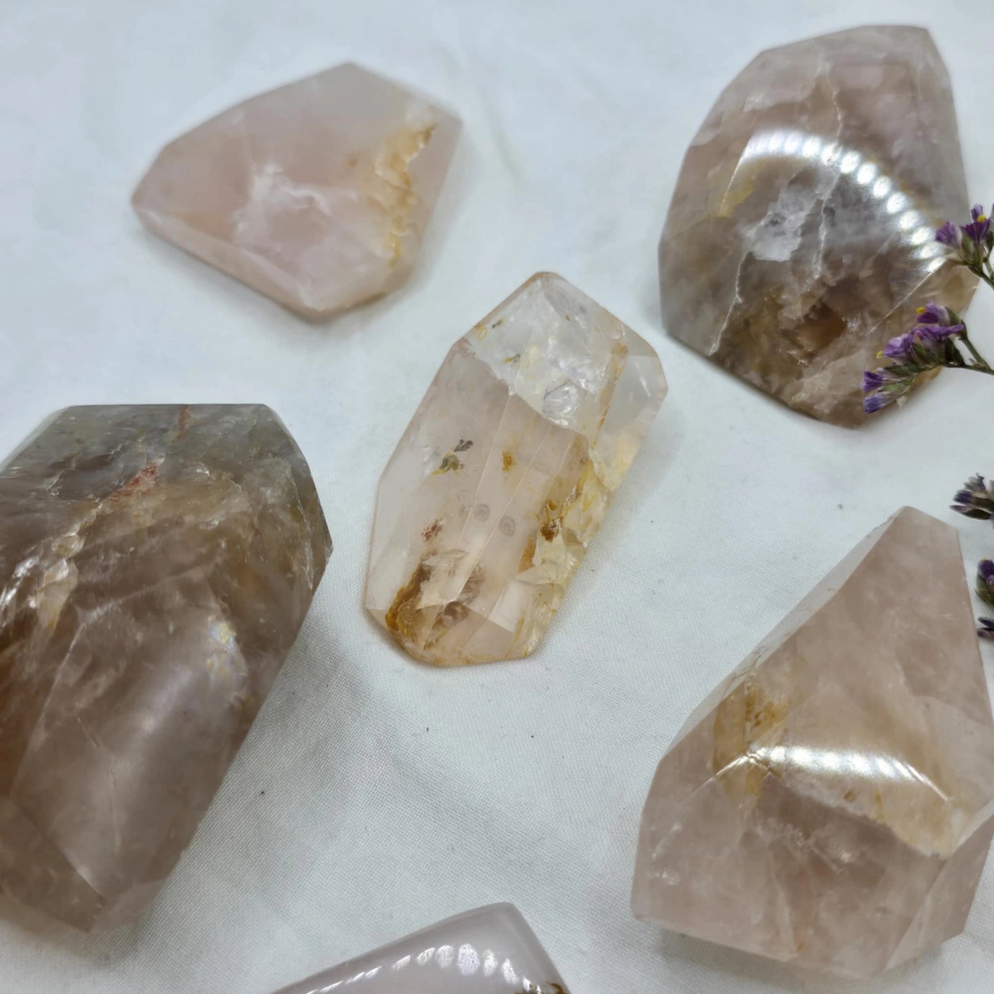 Roževec Z Zlatim Zdravilcem - Freeform