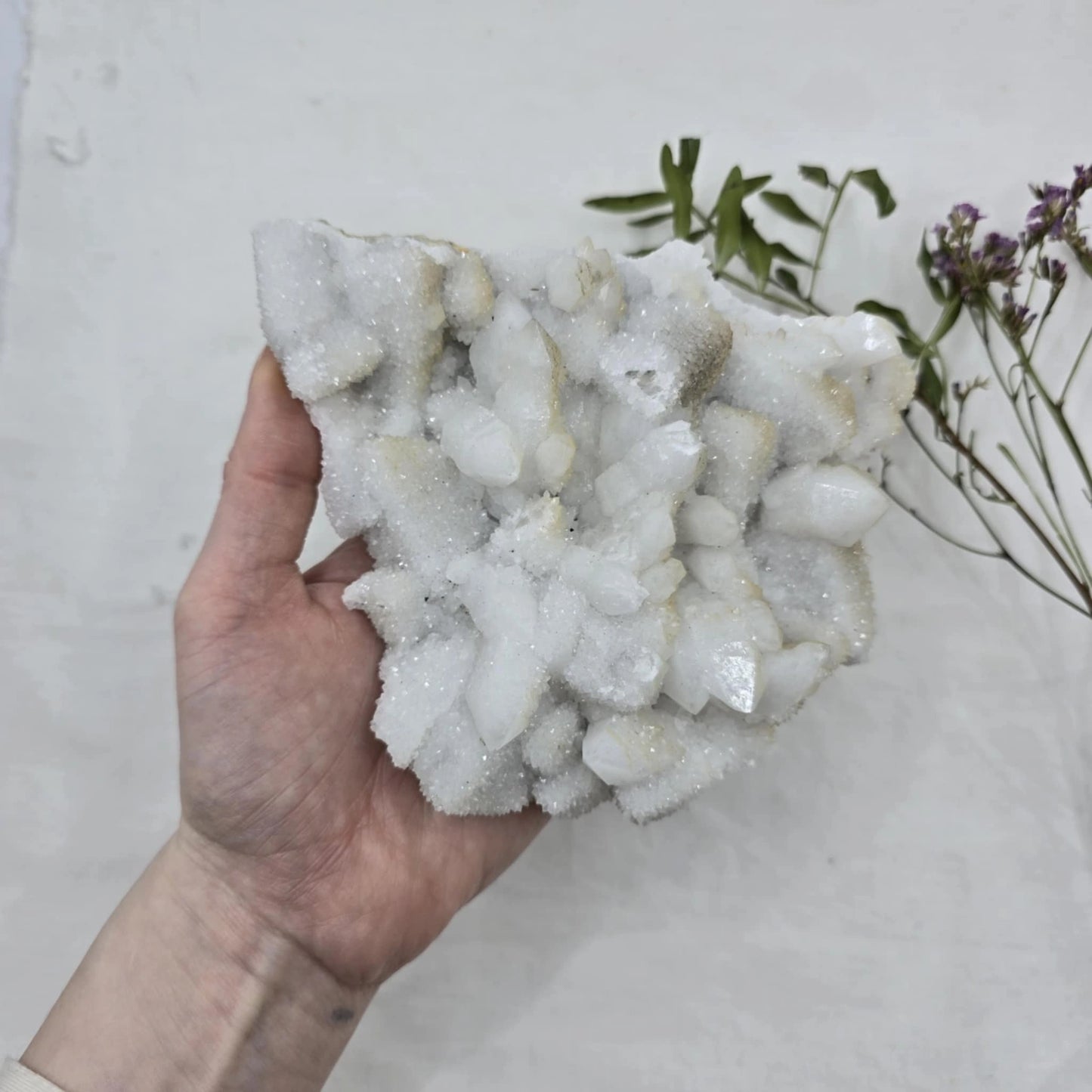 Kalcedon Kremen - Rastišče Veliko