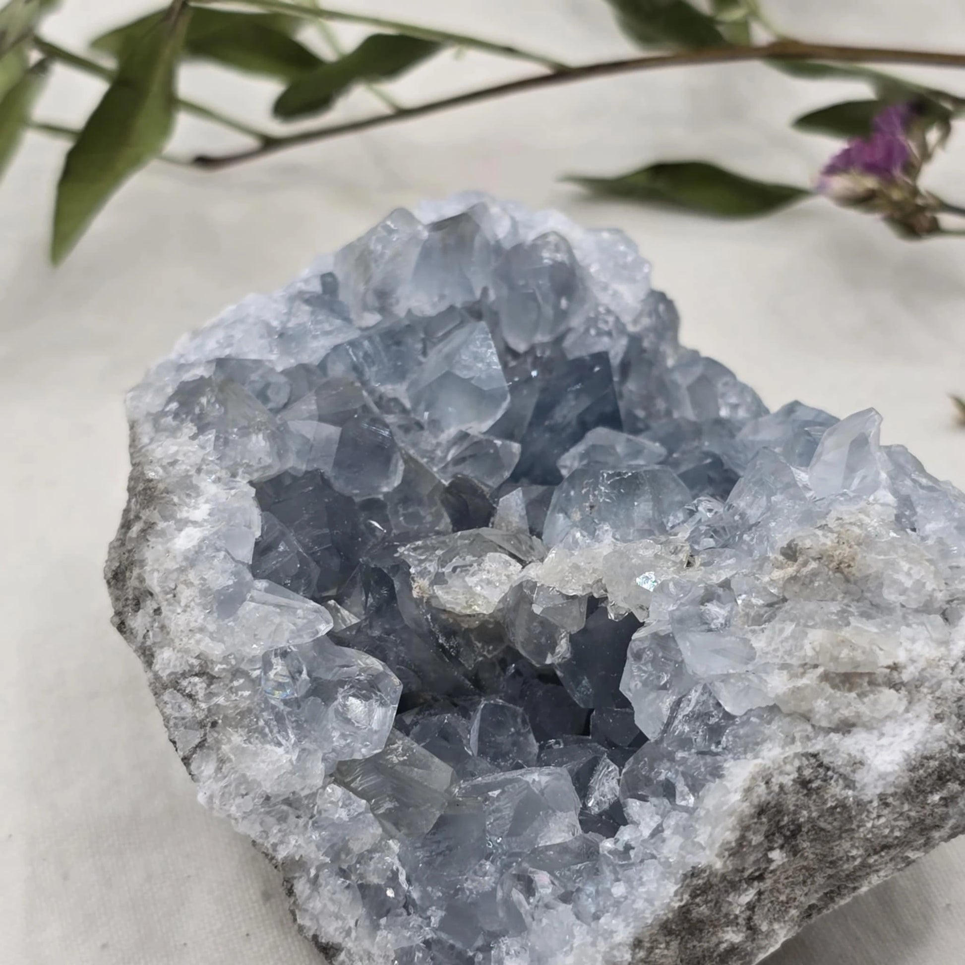 Celestin Mineral Trgovina S Kristali Adorable Stones