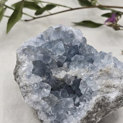 Celestin Mineral Trgovina S Kristali Adorable Stones