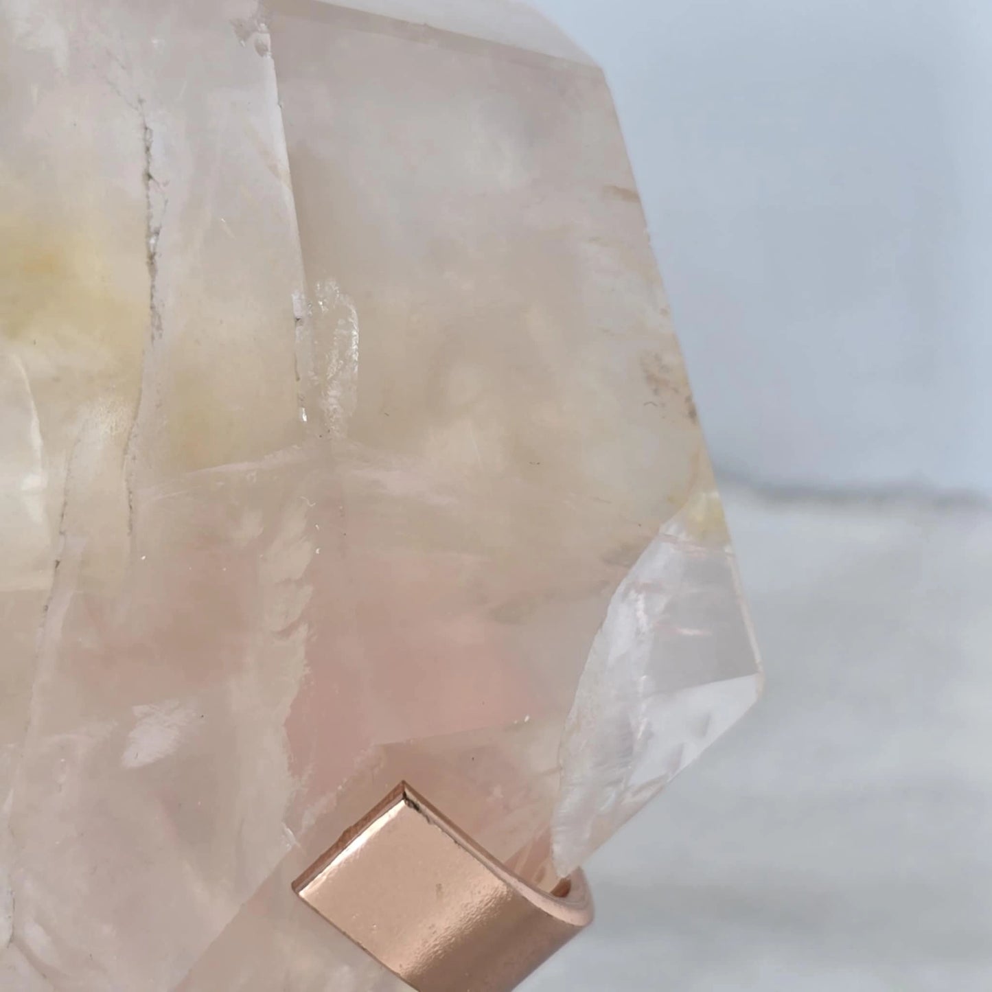 Roževec Z Zlatim Zdravilcem - Freeform Na Stojalu