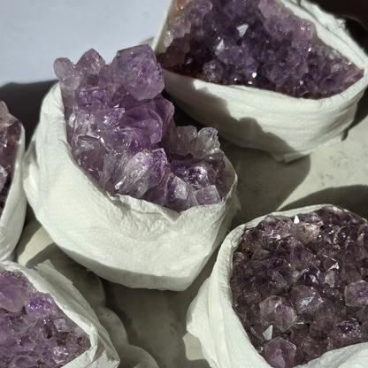 Ametist - Rastišče S