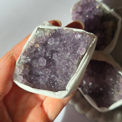 Ametist - Rastišče M