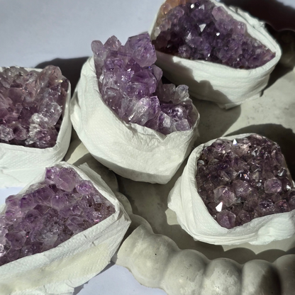 Ametist - Rastišče S