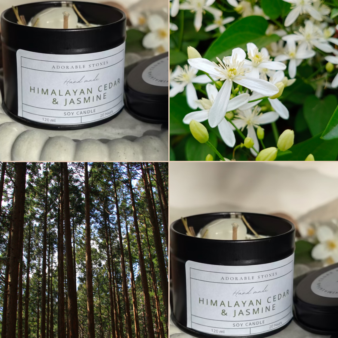 Himalayan Cedar & Jasmine - Sojina Sveča S Kristalom