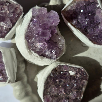 Ametist - Rastišče S