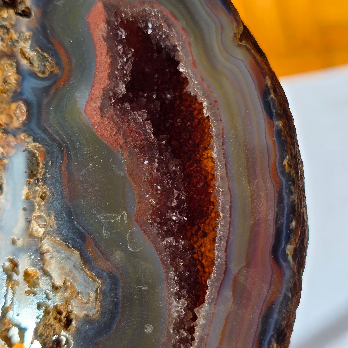 Ahat Geoda - Na Stojalu #440