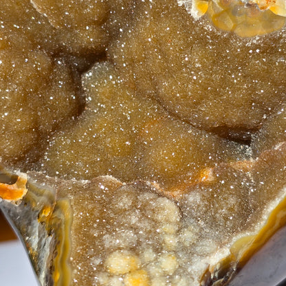 Ahat Geoda - Na Stojalu #700