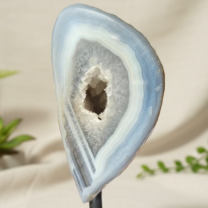 Ahat Geoda - Na Stojalu #340