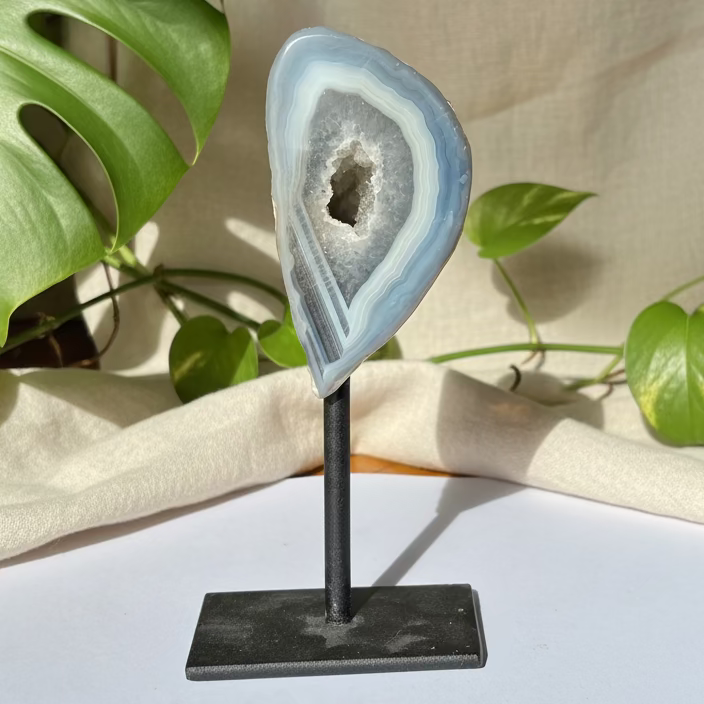 Ahat Geoda - Na Stojalu #340