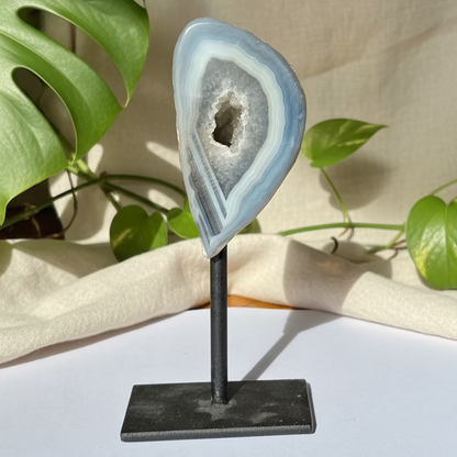 Ahat Geoda - Na Stojalu #340