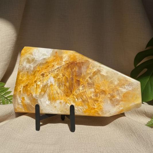 Zlati Zdravilec - Freeform Na Stojalu