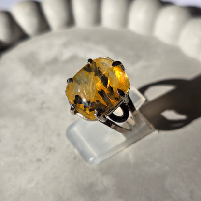 Dendrite - Ring