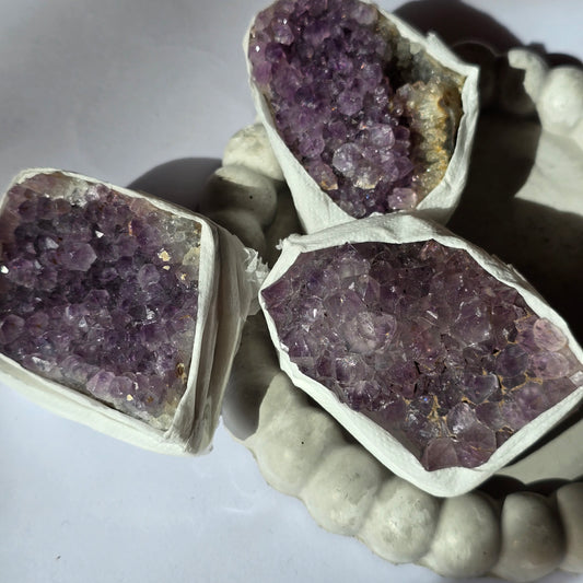 Ametist - Rastišče M