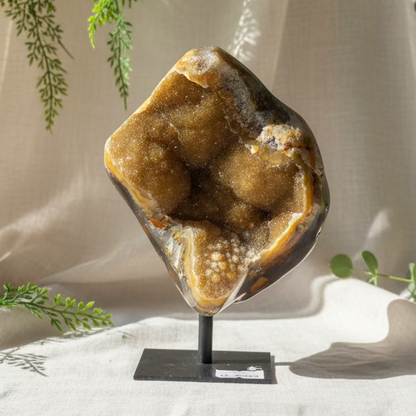 Ahat Geoda - Na Stojalu #700