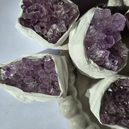 Ametist - Rastišče S