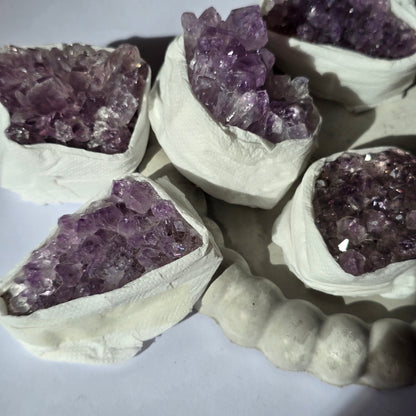 Ametist - Rastišče S