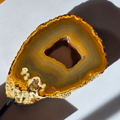 Ahat Geoda - Na Stojalu #390